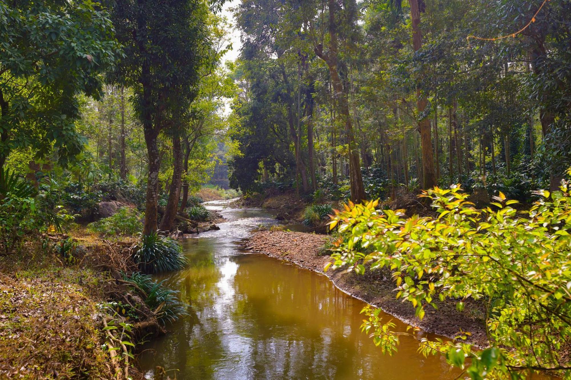 The Grand Retreat - Chikmagalur Hotell Eksteriør bilde